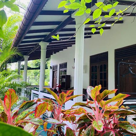 The Jungle Path Lodge Sigiriya Bagian luar foto
