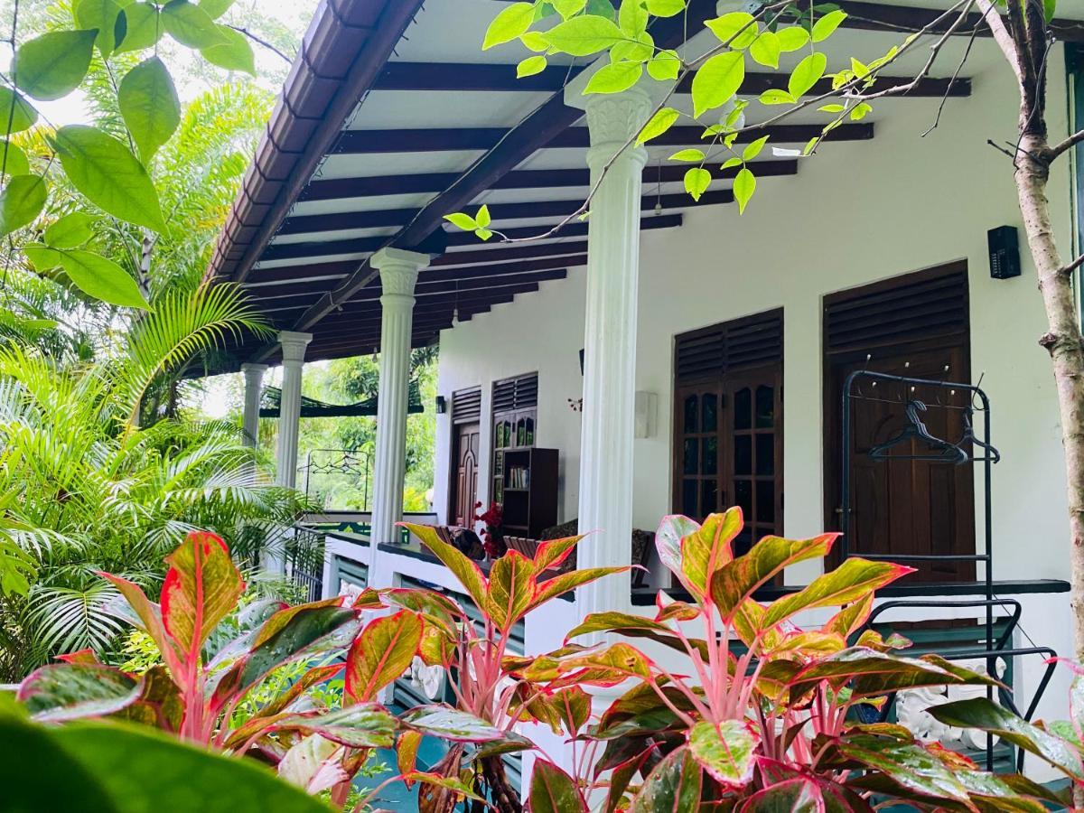 The Jungle Path Lodge Sigiriya Bagian luar foto