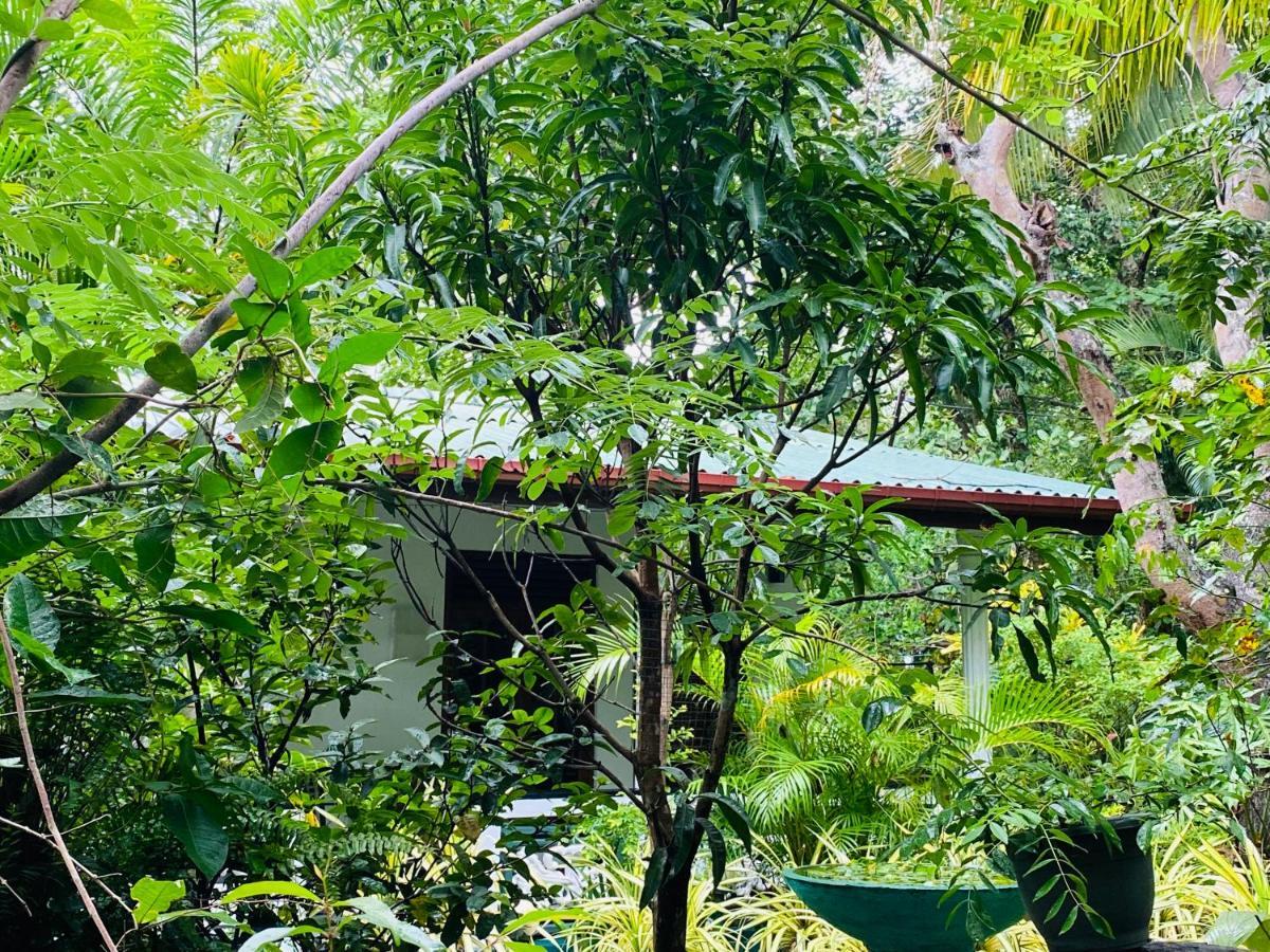 The Jungle Path Lodge Sigiriya Bagian luar foto