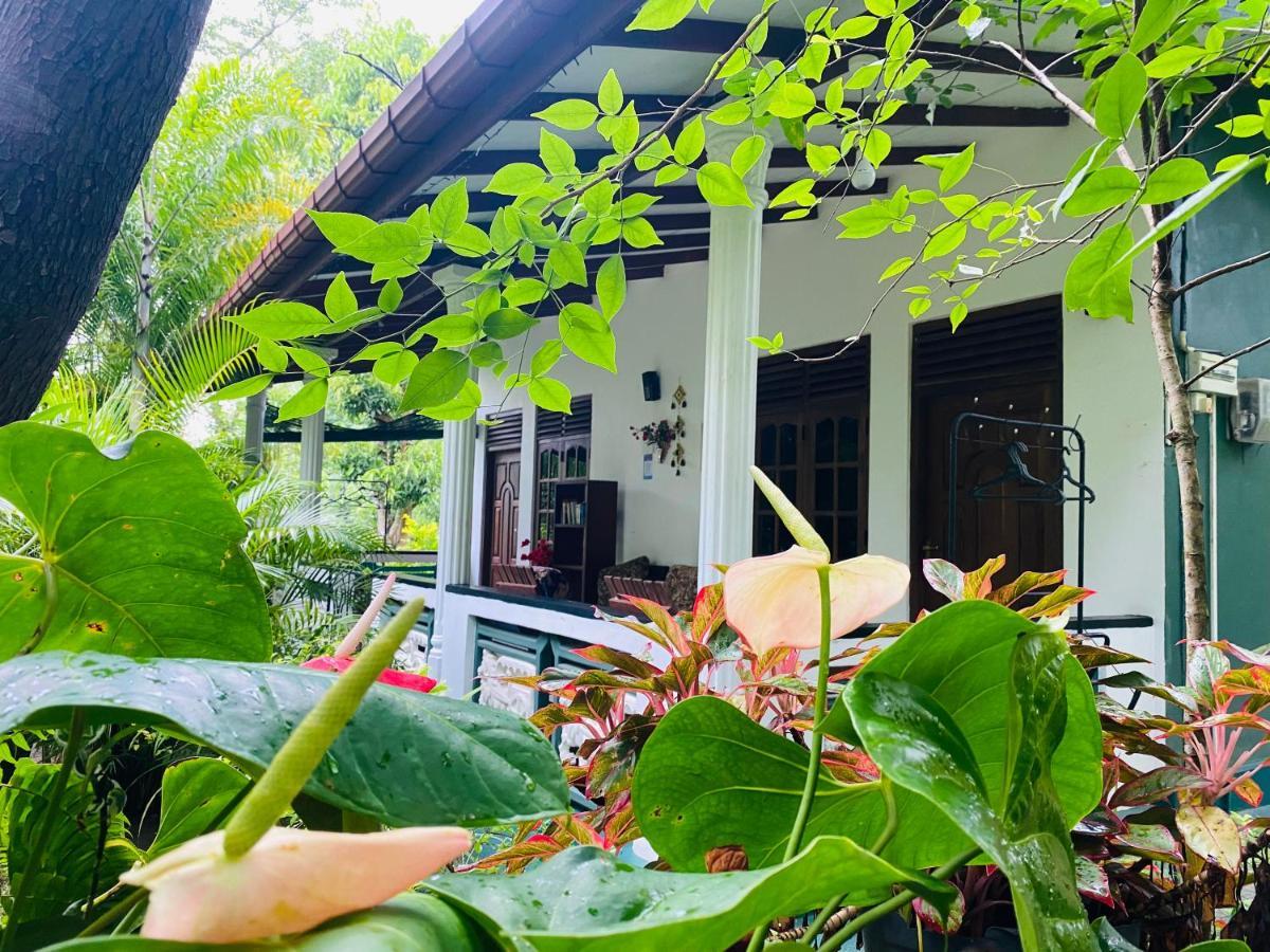 The Jungle Path Lodge Sigiriya Bagian luar foto