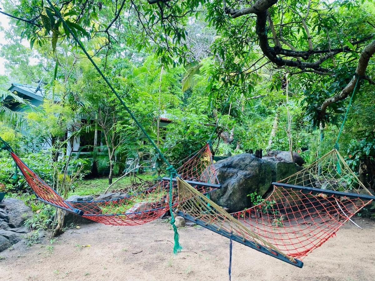 The Jungle Path Lodge Sigiriya Bagian luar foto